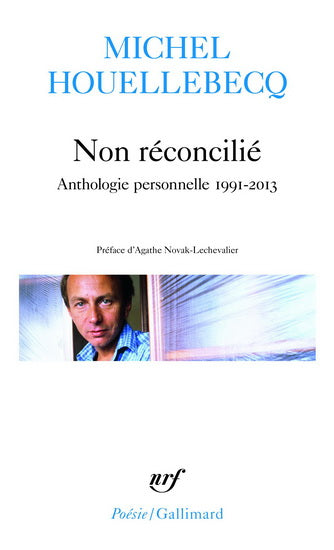 Non réconcilié, Anthologie personnelle 1991-2013